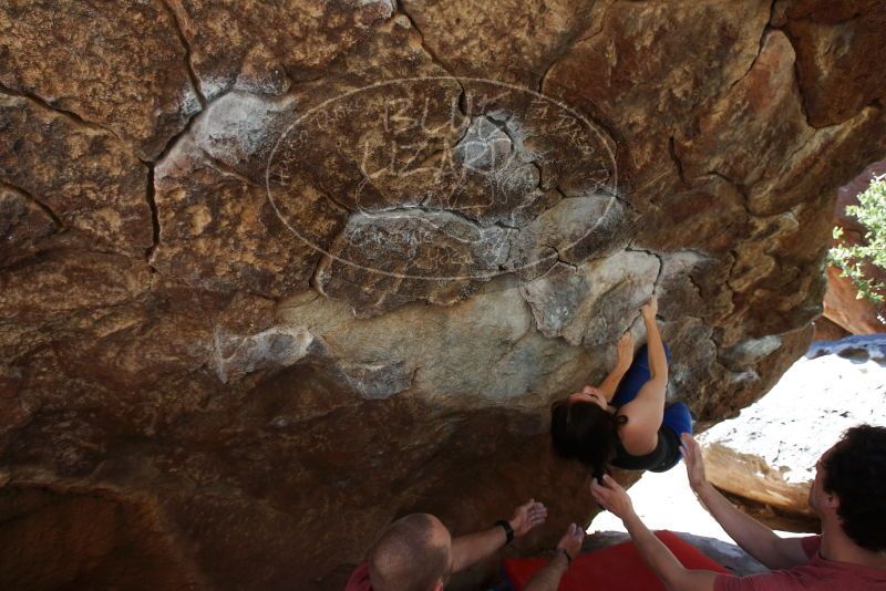 Bouldering in Hueco Tanks on 03/29/2019 with Blue Lizard Climbing and Yoga

Filename: SRM_20190329_1049100.jpg
Aperture: f/5.6
Shutter Speed: 1/250
Body: Canon EOS-1D Mark II
Lens: Canon EF 16-35mm f/2.8 L