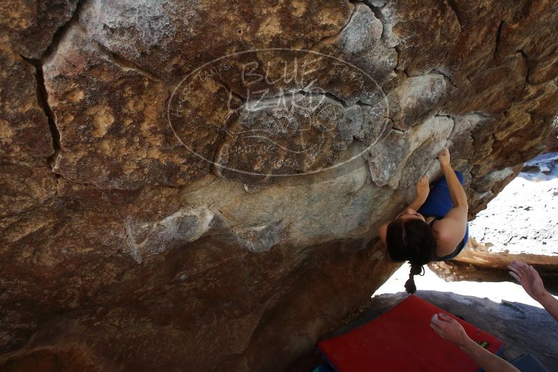 Bouldering in Hueco Tanks on 03/29/2019 with Blue Lizard Climbing and Yoga

Filename: SRM_20190329_1055490.jpg
Aperture: f/5.6
Shutter Speed: 1/250
Body: Canon EOS-1D Mark II
Lens: Canon EF 16-35mm f/2.8 L