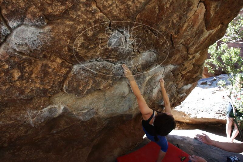 Bouldering in Hueco Tanks on 03/29/2019 with Blue Lizard Climbing and Yoga

Filename: SRM_20190329_1058022.jpg
Aperture: f/5.6
Shutter Speed: 1/250
Body: Canon EOS-1D Mark II
Lens: Canon EF 16-35mm f/2.8 L