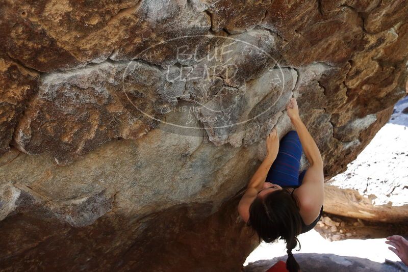 Bouldering in Hueco Tanks on 03/29/2019 with Blue Lizard Climbing and Yoga

Filename: SRM_20190329_1102370.jpg
Aperture: f/5.6
Shutter Speed: 1/250
Body: Canon EOS-1D Mark II
Lens: Canon EF 16-35mm f/2.8 L