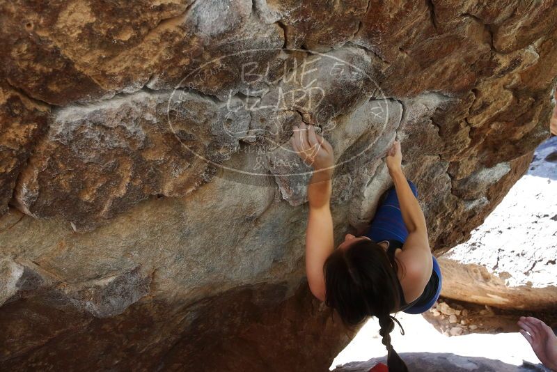 Bouldering in Hueco Tanks on 03/29/2019 with Blue Lizard Climbing and Yoga

Filename: SRM_20190329_1102380.jpg
Aperture: f/5.6
Shutter Speed: 1/250
Body: Canon EOS-1D Mark II
Lens: Canon EF 16-35mm f/2.8 L