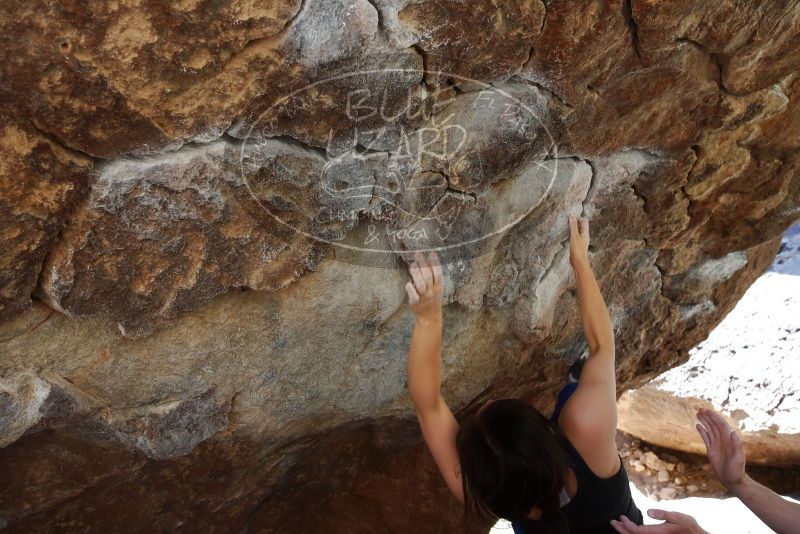 Bouldering in Hueco Tanks on 03/29/2019 with Blue Lizard Climbing and Yoga

Filename: SRM_20190329_1103190.jpg
Aperture: f/5.6
Shutter Speed: 1/250
Body: Canon EOS-1D Mark II
Lens: Canon EF 16-35mm f/2.8 L