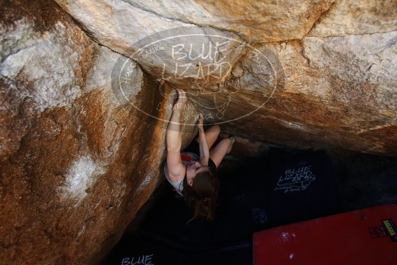 Bouldering in Hueco Tanks on 03/29/2019 with Blue Lizard Climbing and Yoga

Filename: SRM_20190329_1114200.jpg
Aperture: f/5.6
Shutter Speed: 1/250
Body: Canon EOS-1D Mark II
Lens: Canon EF 16-35mm f/2.8 L