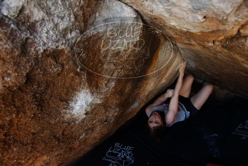 Bouldering in Hueco Tanks on 03/29/2019 with Blue Lizard Climbing and Yoga

Filename: SRM_20190329_1115270.jpg
Aperture: f/5.6
Shutter Speed: 1/250
Body: Canon EOS-1D Mark II
Lens: Canon EF 16-35mm f/2.8 L