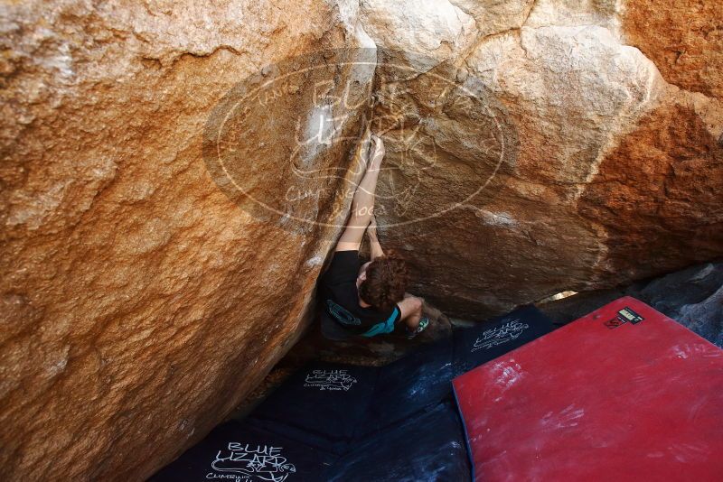 Bouldering in Hueco Tanks on 03/29/2019 with Blue Lizard Climbing and Yoga

Filename: SRM_20190329_1122050.jpg
Aperture: f/5.6
Shutter Speed: 1/200
Body: Canon EOS-1D Mark II
Lens: Canon EF 16-35mm f/2.8 L