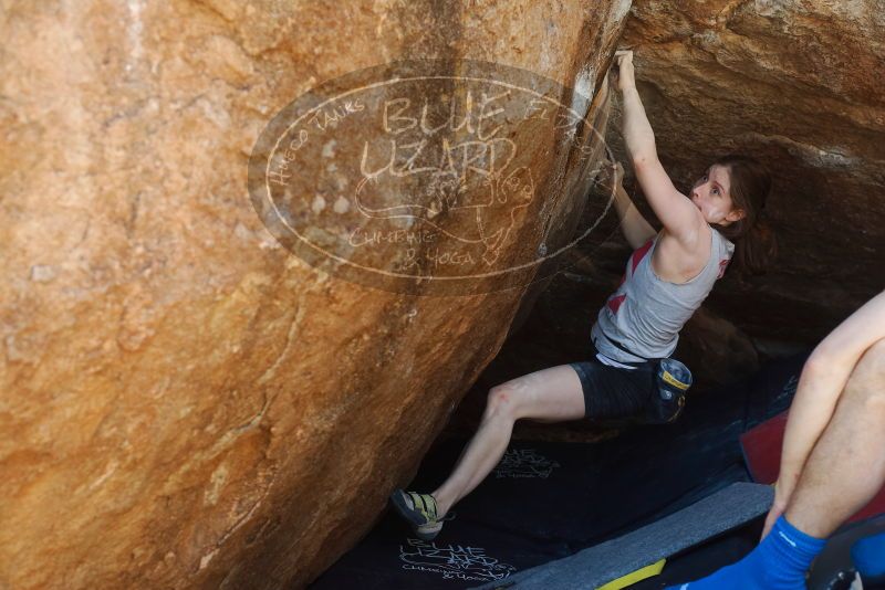 Bouldering in Hueco Tanks on 03/29/2019 with Blue Lizard Climbing and Yoga

Filename: SRM_20190329_1149280.jpg
Aperture: f/4.0
Shutter Speed: 1/200
Body: Canon EOS-1D Mark II
Lens: Canon EF 50mm f/1.8 II