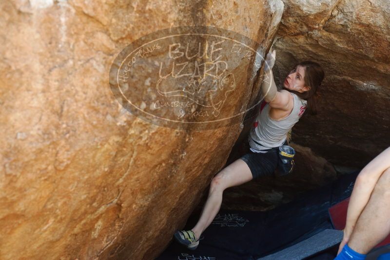 Bouldering in Hueco Tanks on 03/29/2019 with Blue Lizard Climbing and Yoga

Filename: SRM_20190329_1149281.jpg
Aperture: f/4.0
Shutter Speed: 1/200
Body: Canon EOS-1D Mark II
Lens: Canon EF 50mm f/1.8 II