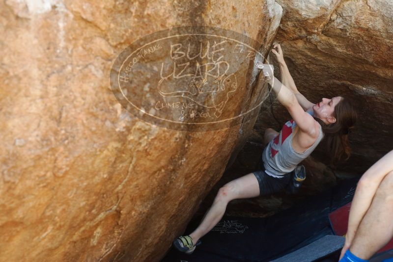 Bouldering in Hueco Tanks on 03/29/2019 with Blue Lizard Climbing and Yoga

Filename: SRM_20190329_1149300.jpg
Aperture: f/4.0
Shutter Speed: 1/200
Body: Canon EOS-1D Mark II
Lens: Canon EF 50mm f/1.8 II