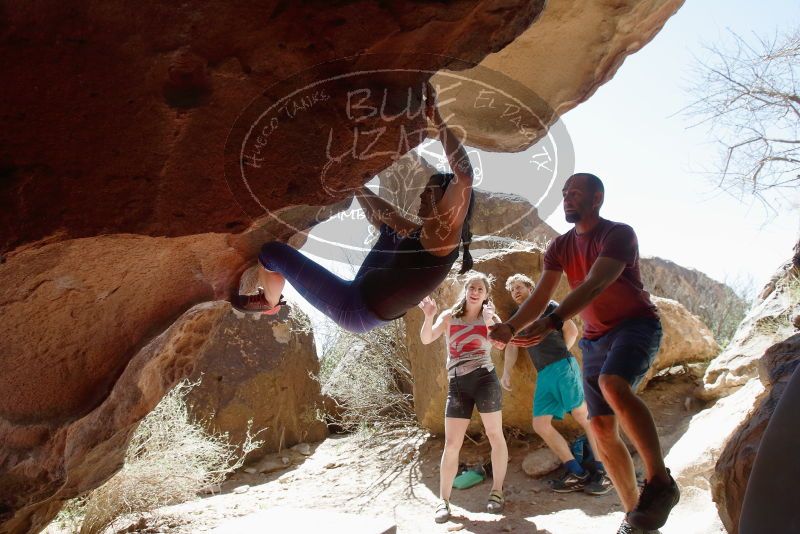 Bouldering in Hueco Tanks on 03/29/2019 with Blue Lizard Climbing and Yoga

Filename: SRM_20190329_1252460.jpg
Aperture: f/5.6
Shutter Speed: 1/500
Body: Canon EOS-1D Mark II
Lens: Canon EF 16-35mm f/2.8 L