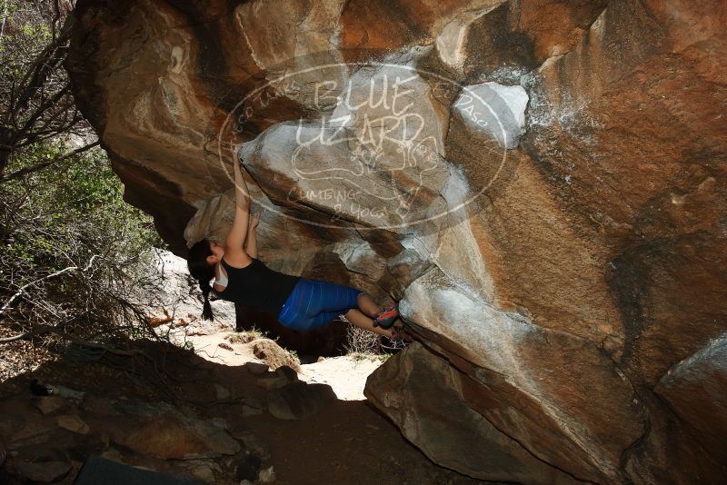 Bouldering in Hueco Tanks on 03/29/2019 with Blue Lizard Climbing and Yoga

Filename: SRM_20190329_1456530.jpg
Aperture: f/6.3
Shutter Speed: 1/250
Body: Canon EOS-1D Mark II
Lens: Canon EF 16-35mm f/2.8 L