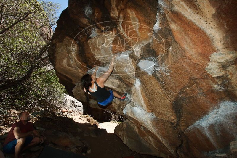 Bouldering in Hueco Tanks on 03/29/2019 with Blue Lizard Climbing and Yoga

Filename: SRM_20190329_1457110.jpg
Aperture: f/6.3
Shutter Speed: 1/250
Body: Canon EOS-1D Mark II
Lens: Canon EF 16-35mm f/2.8 L