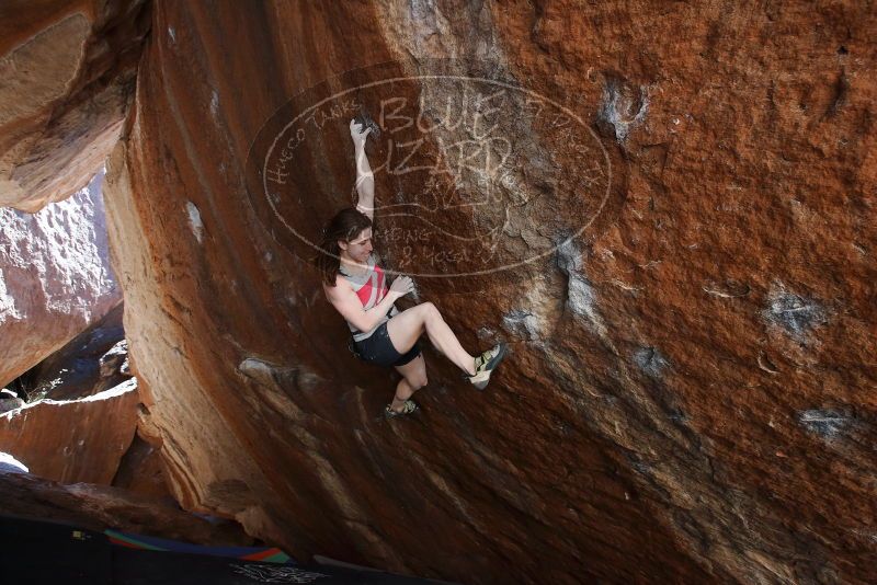 Bouldering in Hueco Tanks on 03/29/2019 with Blue Lizard Climbing and Yoga

Filename: SRM_20190329_1549341.jpg
Aperture: f/5.6
Shutter Speed: 1/250
Body: Canon EOS-1D Mark II
Lens: Canon EF 16-35mm f/2.8 L