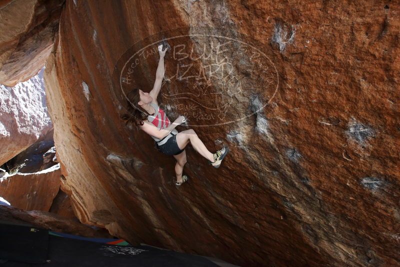 Bouldering in Hueco Tanks on 03/29/2019 with Blue Lizard Climbing and Yoga

Filename: SRM_20190329_1554342.jpg
Aperture: f/5.6
Shutter Speed: 1/250
Body: Canon EOS-1D Mark II
Lens: Canon EF 16-35mm f/2.8 L