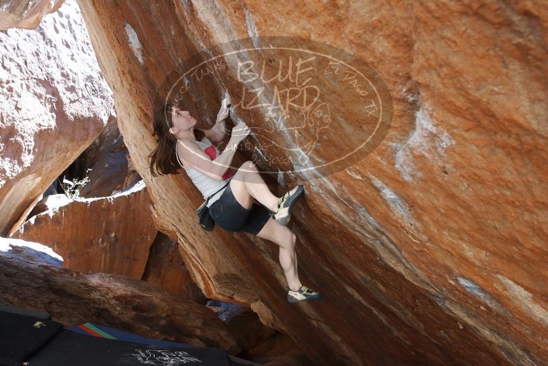 Bouldering in Hueco Tanks on 03/29/2019 with Blue Lizard Climbing and Yoga

Filename: SRM_20190329_1609240.jpg
Aperture: f/5.6
Shutter Speed: 1/250
Body: Canon EOS-1D Mark II
Lens: Canon EF 16-35mm f/2.8 L