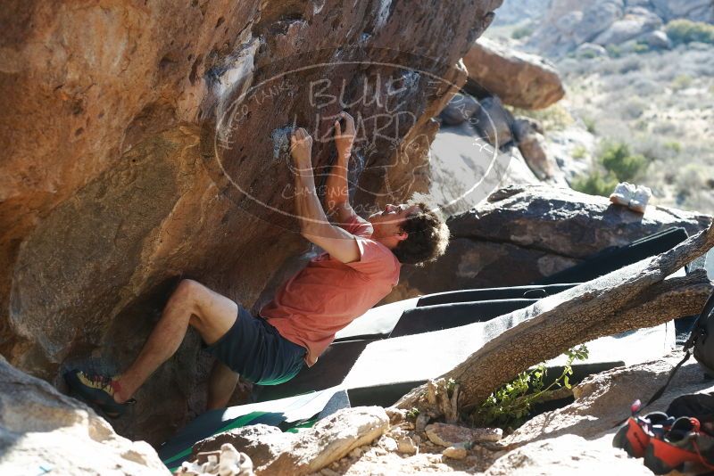 Bouldering in Hueco Tanks on 03/29/2019 with Blue Lizard Climbing and Yoga

Filename: SRM_20190329_1725160.jpg
Aperture: f/4.0
Shutter Speed: 1/250
Body: Canon EOS-1D Mark II
Lens: Canon EF 50mm f/1.8 II