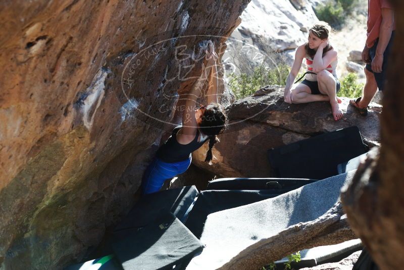 Bouldering in Hueco Tanks on 03/29/2019 with Blue Lizard Climbing and Yoga

Filename: SRM_20190329_1735150.jpg
Aperture: f/4.0
Shutter Speed: 1/250
Body: Canon EOS-1D Mark II
Lens: Canon EF 50mm f/1.8 II