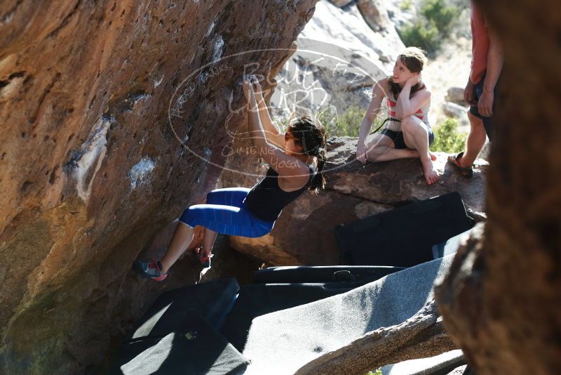 Bouldering in Hueco Tanks on 03/29/2019 with Blue Lizard Climbing and Yoga

Filename: SRM_20190329_1735170.jpg
Aperture: f/4.0
Shutter Speed: 1/250
Body: Canon EOS-1D Mark II
Lens: Canon EF 50mm f/1.8 II