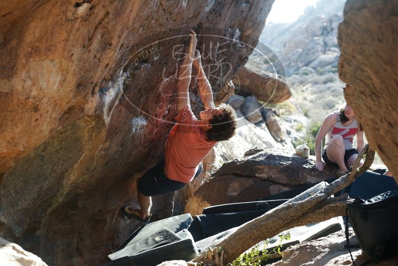 Bouldering in Hueco Tanks on 03/29/2019 with Blue Lizard Climbing and Yoga

Filename: SRM_20190329_1737520.jpg
Aperture: f/4.0
Shutter Speed: 1/250
Body: Canon EOS-1D Mark II
Lens: Canon EF 50mm f/1.8 II