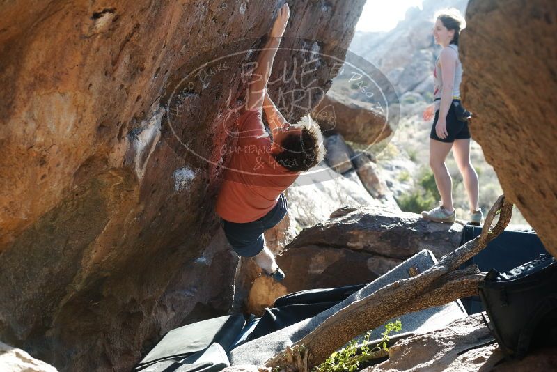 Bouldering in Hueco Tanks on 03/29/2019 with Blue Lizard Climbing and Yoga

Filename: SRM_20190329_1741060.jpg
Aperture: f/4.0
Shutter Speed: 1/250
Body: Canon EOS-1D Mark II
Lens: Canon EF 50mm f/1.8 II