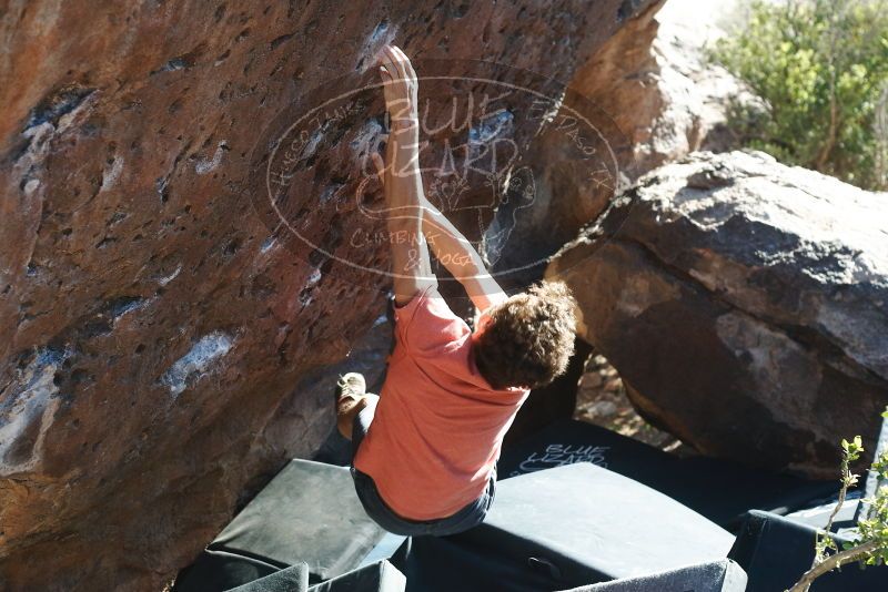 Bouldering in Hueco Tanks on 03/29/2019 with Blue Lizard Climbing and Yoga

Filename: SRM_20190329_1746251.jpg
Aperture: f/4.0
Shutter Speed: 1/250
Body: Canon EOS-1D Mark II
Lens: Canon EF 50mm f/1.8 II