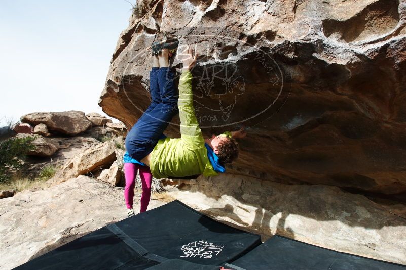 Bouldering in Hueco Tanks on 03/30/2019 with Blue Lizard Climbing and Yoga

Filename: SRM_20190330_1017250.jpg
Aperture: f/5.6
Shutter Speed: 1/320
Body: Canon EOS-1D Mark II
Lens: Canon EF 16-35mm f/2.8 L