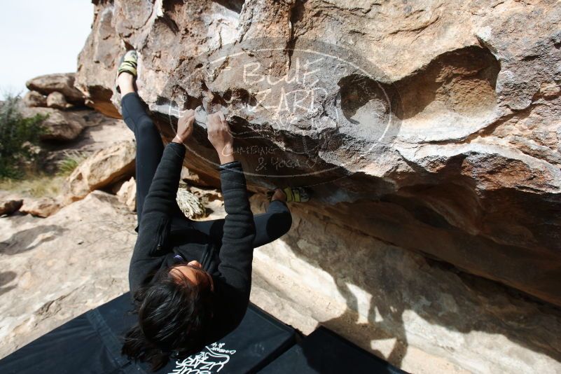 Bouldering in Hueco Tanks on 03/30/2019 with Blue Lizard Climbing and Yoga

Filename: SRM_20190330_1019490.jpg
Aperture: f/5.6
Shutter Speed: 1/400
Body: Canon EOS-1D Mark II
Lens: Canon EF 16-35mm f/2.8 L