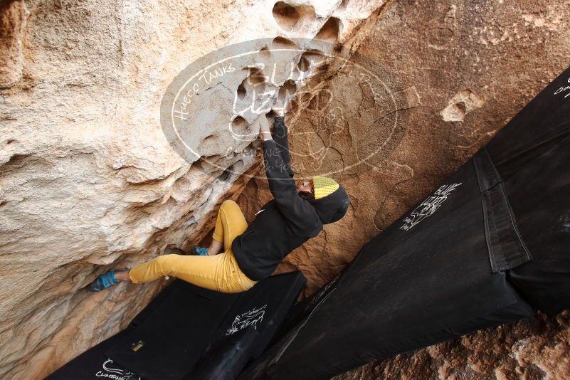 Bouldering in Hueco Tanks on 03/30/2019 with Blue Lizard Climbing and Yoga

Filename: SRM_20190330_1124140.jpg
Aperture: f/5.0
Shutter Speed: 1/200
Body: Canon EOS-1D Mark II
Lens: Canon EF 16-35mm f/2.8 L