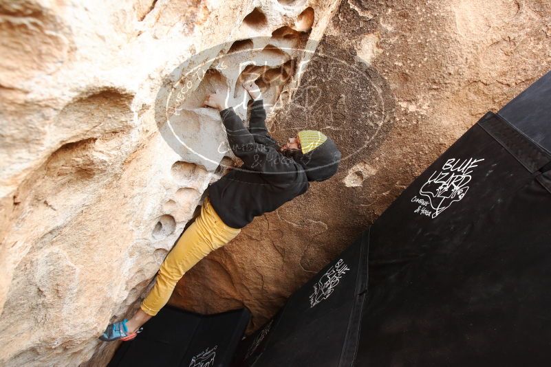 Bouldering in Hueco Tanks on 03/30/2019 with Blue Lizard Climbing and Yoga

Filename: SRM_20190330_1124340.jpg
Aperture: f/5.0
Shutter Speed: 1/250
Body: Canon EOS-1D Mark II
Lens: Canon EF 16-35mm f/2.8 L