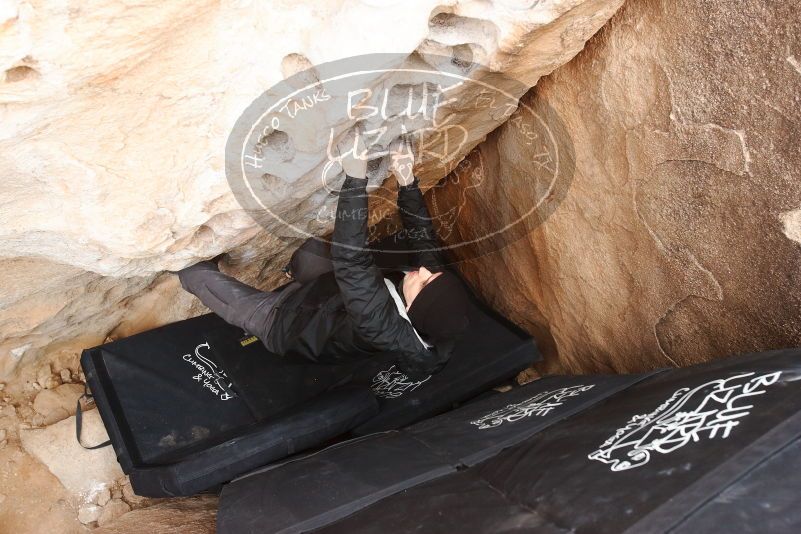 Bouldering in Hueco Tanks on 03/30/2019 with Blue Lizard Climbing and Yoga

Filename: SRM_20190330_1126380.jpg
Aperture: f/5.0
Shutter Speed: 1/200
Body: Canon EOS-1D Mark II
Lens: Canon EF 16-35mm f/2.8 L