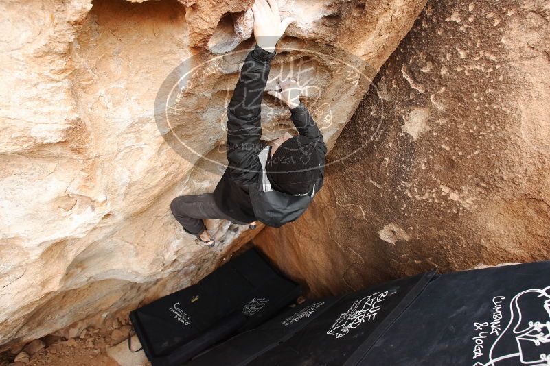 Bouldering in Hueco Tanks on 03/30/2019 with Blue Lizard Climbing and Yoga

Filename: SRM_20190330_1126570.jpg
Aperture: f/5.6
Shutter Speed: 1/200
Body: Canon EOS-1D Mark II
Lens: Canon EF 16-35mm f/2.8 L