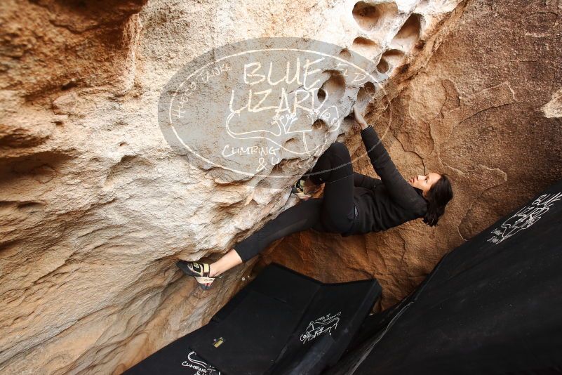 Bouldering in Hueco Tanks on 03/30/2019 with Blue Lizard Climbing and Yoga

Filename: SRM_20190330_1129370.jpg
Aperture: f/5.0
Shutter Speed: 1/200
Body: Canon EOS-1D Mark II
Lens: Canon EF 16-35mm f/2.8 L