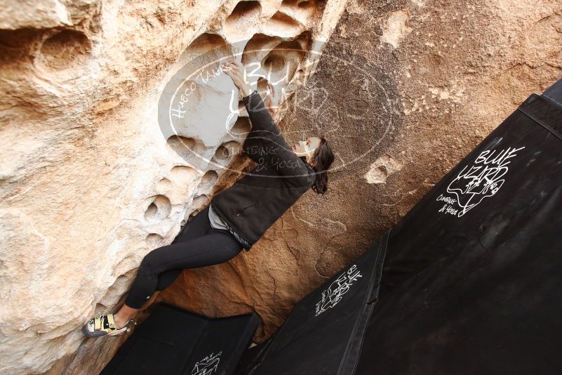 Bouldering in Hueco Tanks on 03/30/2019 with Blue Lizard Climbing and Yoga

Filename: SRM_20190330_1129470.jpg
Aperture: f/5.0
Shutter Speed: 1/200
Body: Canon EOS-1D Mark II
Lens: Canon EF 16-35mm f/2.8 L