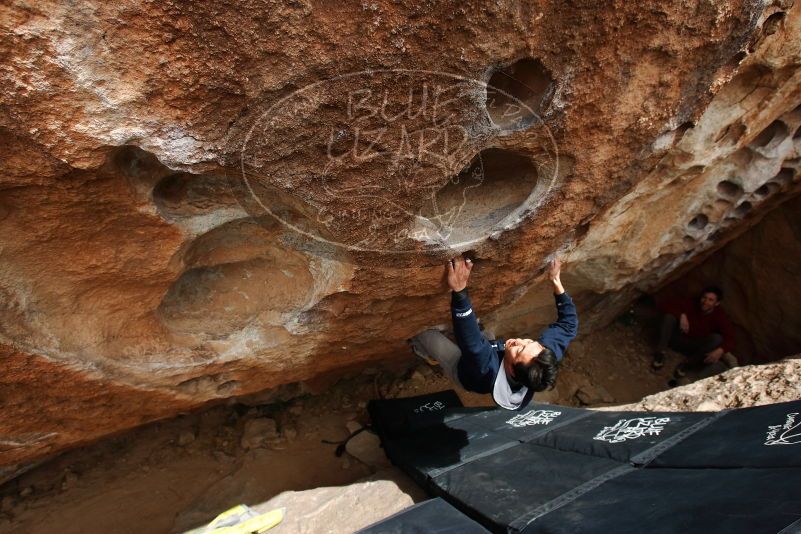 Bouldering in Hueco Tanks on 03/30/2019 with Blue Lizard Climbing and Yoga

Filename: SRM_20190330_1438290.jpg
Aperture: f/5.6
Shutter Speed: 1/250
Body: Canon EOS-1D Mark II
Lens: Canon EF 16-35mm f/2.8 L