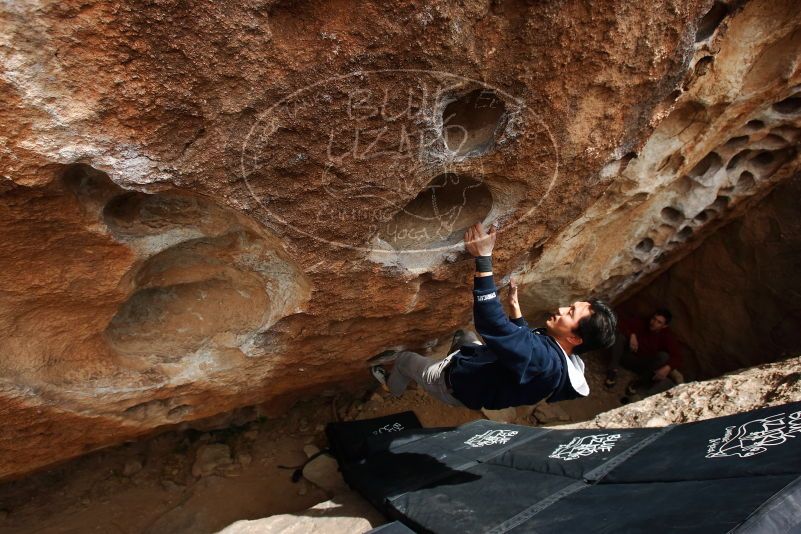 Bouldering in Hueco Tanks on 03/30/2019 with Blue Lizard Climbing and Yoga

Filename: SRM_20190330_1438420.jpg
Aperture: f/5.6
Shutter Speed: 1/250
Body: Canon EOS-1D Mark II
Lens: Canon EF 16-35mm f/2.8 L