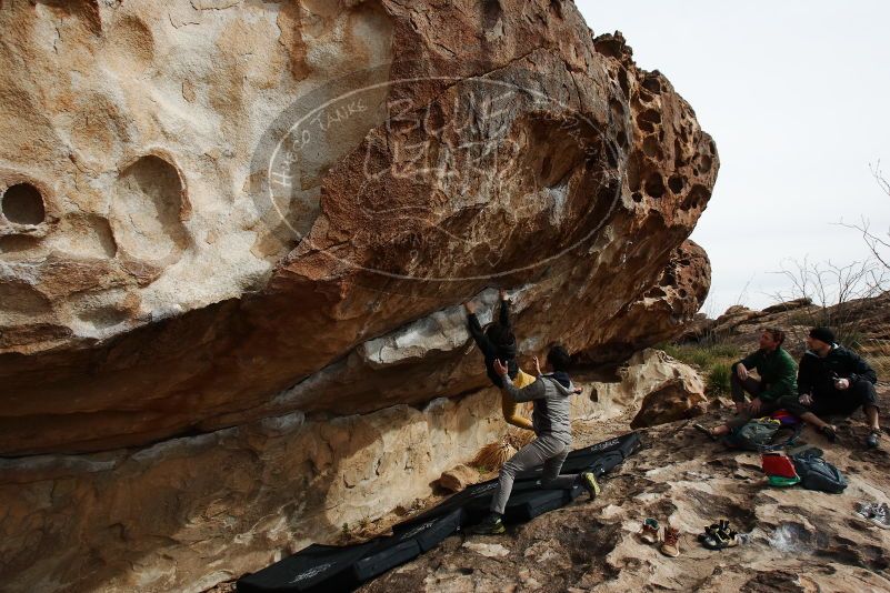 Bouldering in Hueco Tanks on 03/30/2019 with Blue Lizard Climbing and Yoga

Filename: SRM_20190330_1618572.jpg
Aperture: f/5.6
Shutter Speed: 1/640
Body: Canon EOS-1D Mark II
Lens: Canon EF 16-35mm f/2.8 L