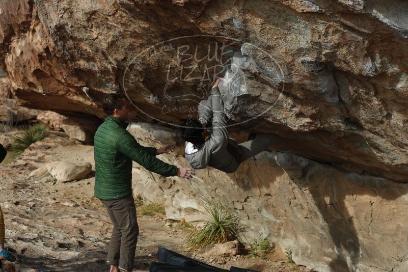 Bouldering in Hueco Tanks on 03/30/2019 with Blue Lizard Climbing and Yoga

Filename: SRM_20190330_1650550.jpg
Aperture: f/4.0
Shutter Speed: 1/640
Body: Canon EOS-1D Mark II
Lens: Canon EF 50mm f/1.8 II