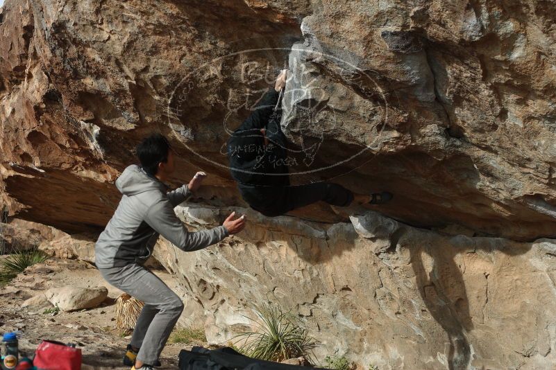 Bouldering in Hueco Tanks on 03/30/2019 with Blue Lizard Climbing and Yoga

Filename: SRM_20190330_1704080.jpg
Aperture: f/4.0
Shutter Speed: 1/500
Body: Canon EOS-1D Mark II
Lens: Canon EF 50mm f/1.8 II