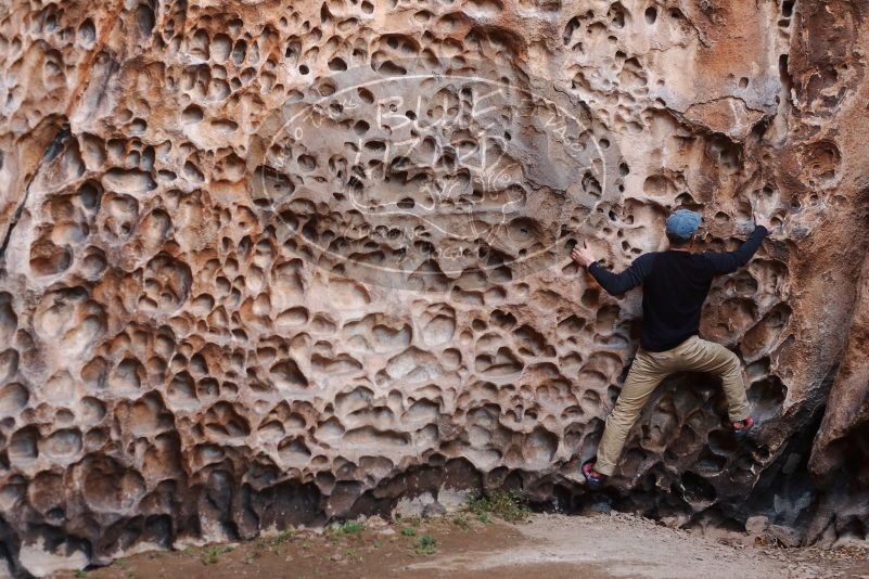 Bouldering in Hueco Tanks on 03/31/2019 with Blue Lizard Climbing and Yoga

Filename: SRM_20190331_1518090.jpg
Aperture: f/3.5
Shutter Speed: 1/125
Body: Canon EOS-1D Mark II
Lens: Canon EF 50mm f/1.8 II