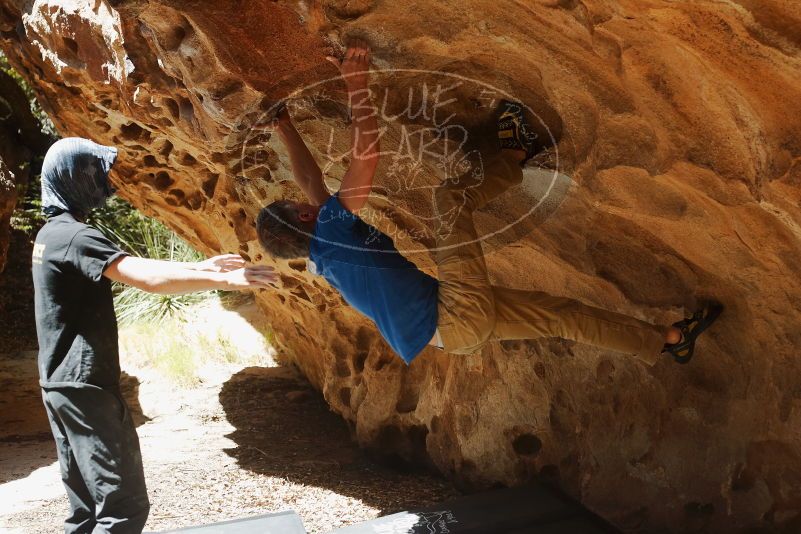 Bouldering in Hueco Tanks on 04/05/2019 with Blue Lizard Climbing and Yoga

Filename: SRM_20190405_1222020.jpg
Aperture: f/4.0
Shutter Speed: 1/640
Body: Canon EOS-1D Mark II
Lens: Canon EF 50mm f/1.8 II