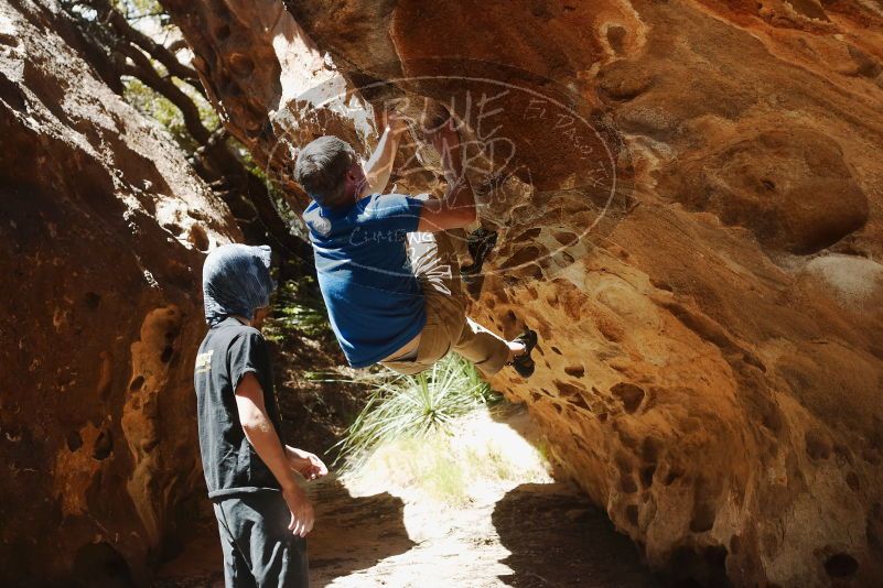 Bouldering in Hueco Tanks on 04/05/2019 with Blue Lizard Climbing and Yoga

Filename: SRM_20190405_1222380.jpg
Aperture: f/4.0
Shutter Speed: 1/800
Body: Canon EOS-1D Mark II
Lens: Canon EF 50mm f/1.8 II