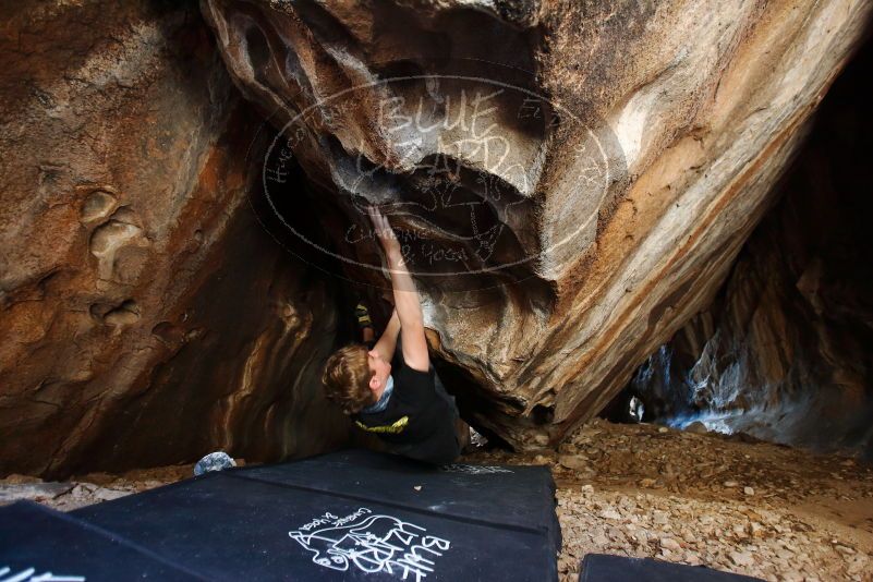 Bouldering in Hueco Tanks on 04/05/2019 with Blue Lizard Climbing and Yoga

Filename: SRM_20190405_1318270.jpg
Aperture: f/2.8
Shutter Speed: 1/100
Body: Canon EOS-1D Mark II
Lens: Canon EF 16-35mm f/2.8 L