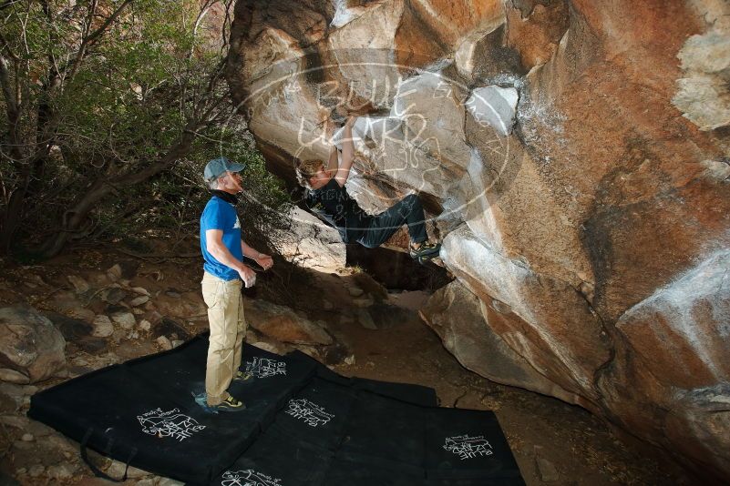 Bouldering in Hueco Tanks on 04/05/2019 with Blue Lizard Climbing and Yoga

Filename: SRM_20190405_1648270.jpg
Aperture: f/5.6
Shutter Speed: 1/250
Body: Canon EOS-1D Mark II
Lens: Canon EF 16-35mm f/2.8 L