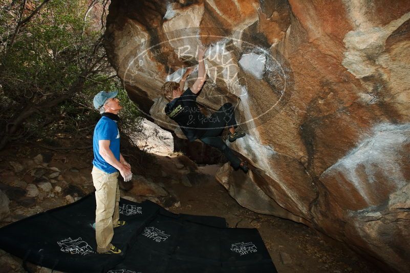 Bouldering in Hueco Tanks on 04/05/2019 with Blue Lizard Climbing and Yoga

Filename: SRM_20190405_1648330.jpg
Aperture: f/5.6
Shutter Speed: 1/250
Body: Canon EOS-1D Mark II
Lens: Canon EF 16-35mm f/2.8 L