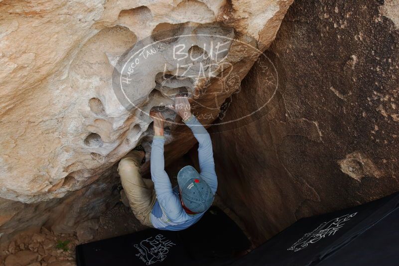 Bouldering in Hueco Tanks on 04/06/2019 with Blue Lizard Climbing and Yoga

Filename: SRM_20190406_1137480.jpg
Aperture: f/5.6
Shutter Speed: 1/200
Body: Canon EOS-1D Mark II
Lens: Canon EF 16-35mm f/2.8 L