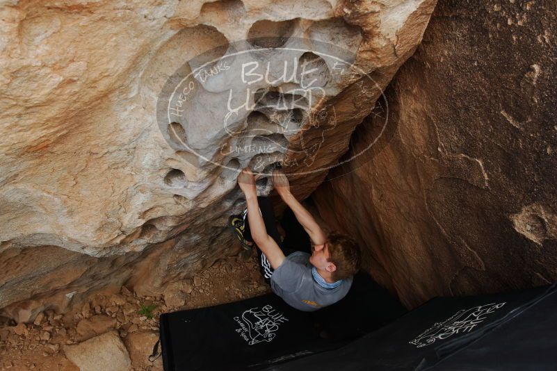 Bouldering in Hueco Tanks on 04/06/2019 with Blue Lizard Climbing and Yoga

Filename: SRM_20190406_1144490.jpg
Aperture: f/5.6
Shutter Speed: 1/200
Body: Canon EOS-1D Mark II
Lens: Canon EF 16-35mm f/2.8 L