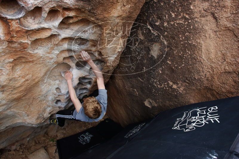 Bouldering in Hueco Tanks on 04/06/2019 with Blue Lizard Climbing and Yoga

Filename: SRM_20190406_1145130.jpg
Aperture: f/5.6
Shutter Speed: 1/200
Body: Canon EOS-1D Mark II
Lens: Canon EF 16-35mm f/2.8 L