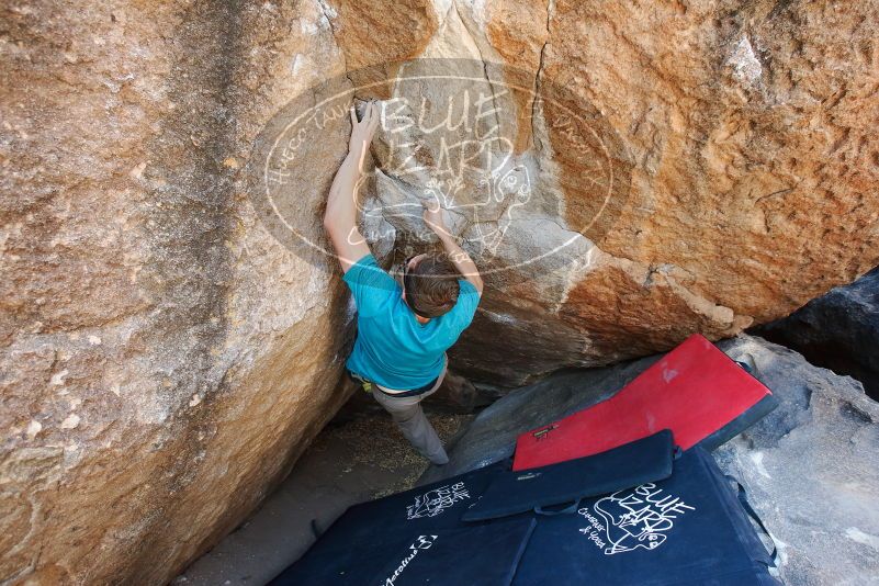 Bouldering in Hueco Tanks on 04/13/2019 with Blue Lizard Climbing and Yoga

Filename: SRM_20190413_1105090.jpg
Aperture: f/5.0
Shutter Speed: 1/250
Body: Canon EOS-1D Mark II
Lens: Canon EF 16-35mm f/2.8 L