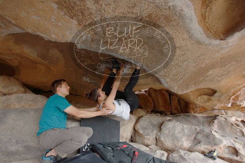 Bouldering in Hueco Tanks on 04/13/2019 with Blue Lizard Climbing and Yoga

Filename: SRM_20190413_1239080.jpg
Aperture: f/5.6
Shutter Speed: 1/200
Body: Canon EOS-1D Mark II
Lens: Canon EF 16-35mm f/2.8 L