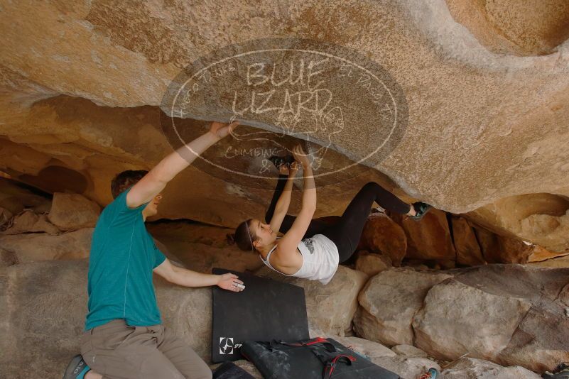 Bouldering in Hueco Tanks on 04/13/2019 with Blue Lizard Climbing and Yoga

Filename: SRM_20190413_1254500.jpg
Aperture: f/5.6
Shutter Speed: 1/250
Body: Canon EOS-1D Mark II
Lens: Canon EF 16-35mm f/2.8 L