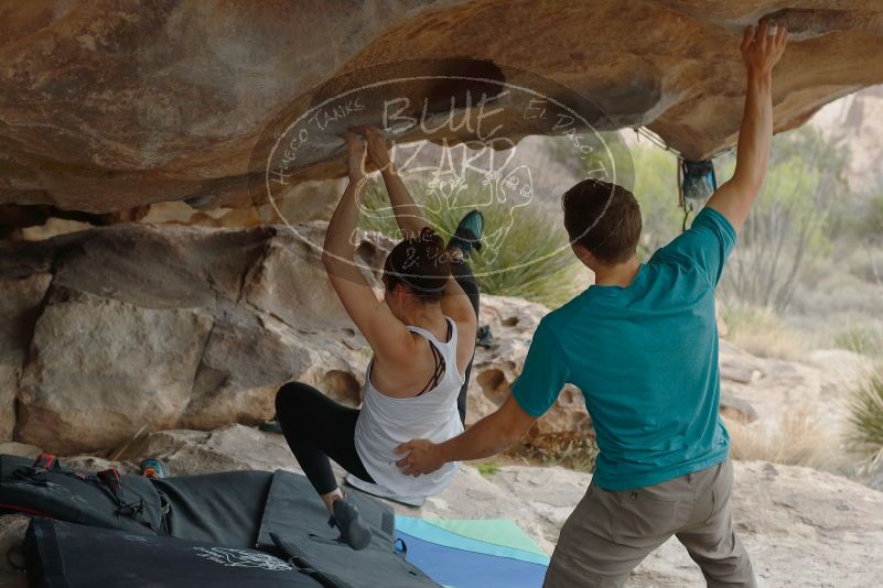 Bouldering in Hueco Tanks on 04/13/2019 with Blue Lizard Climbing and Yoga

Filename: SRM_20190413_1311200.jpg
Aperture: f/4.0
Shutter Speed: 1/640
Body: Canon EOS-1D Mark II
Lens: Canon EF 50mm f/1.8 II